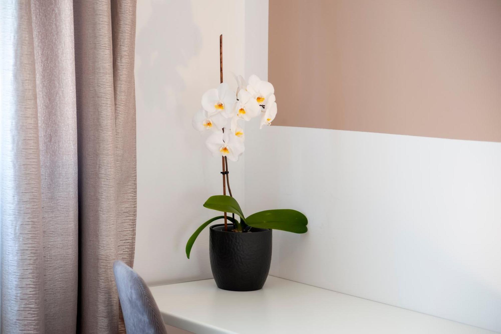 Apartment Euphemia *